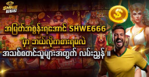 shwe88 login