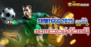 shwe slot