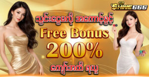 shwe666vip
